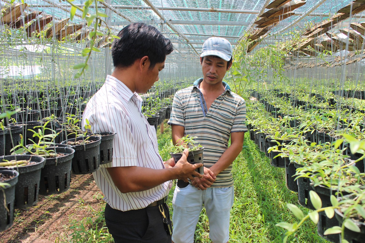 11.8 H1 Vào rừng trồng lan.jpg