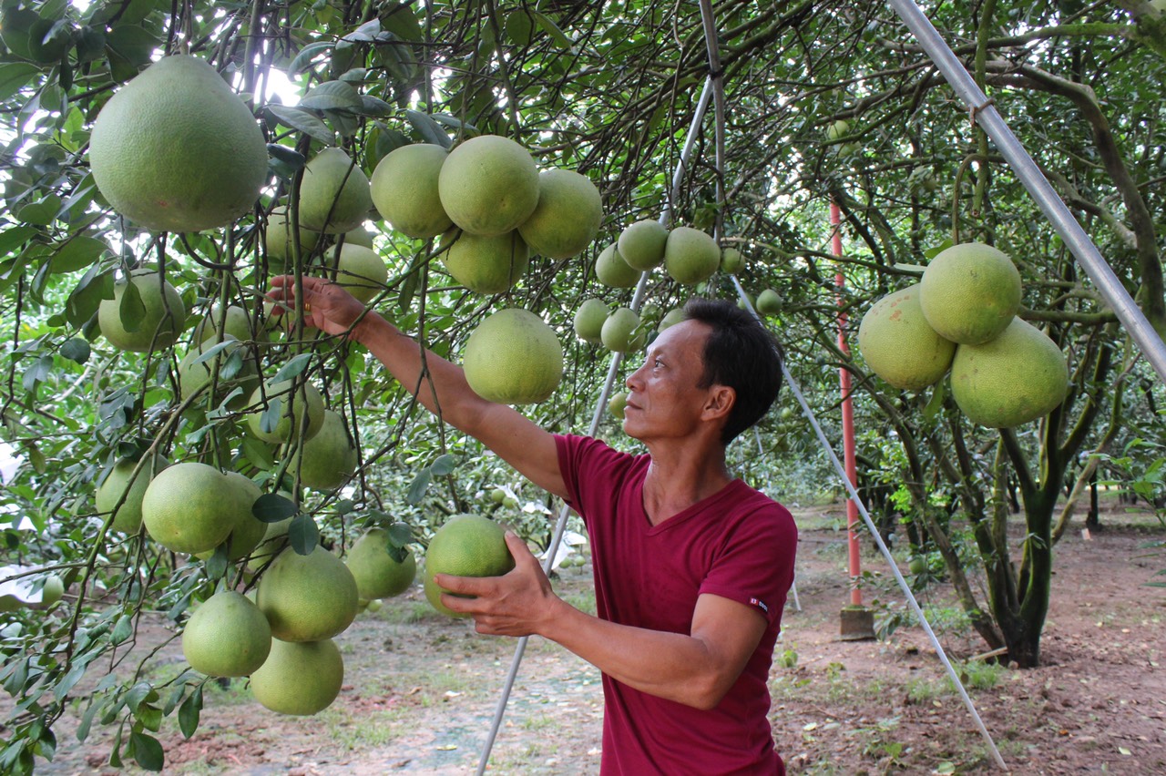 11.8-H1 Giữ vững sản xuất trong khó khăn.jpg