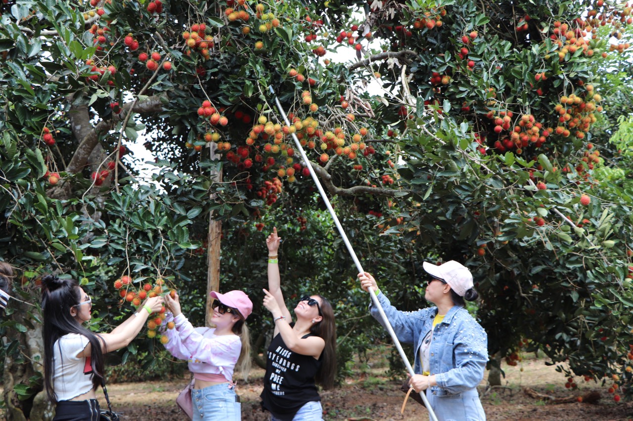 11.8-H2 Giữ vững sản xuất trong khó khăn.jpg