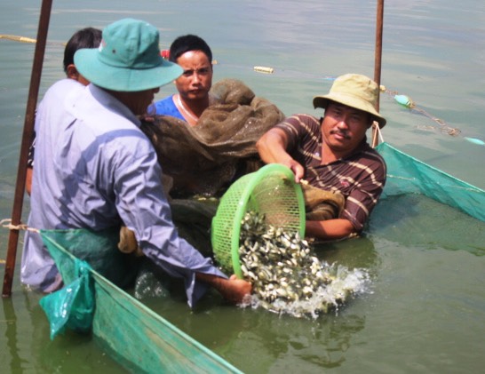 19.8-H2 Tính đầu ra cho cá nước ngọt.jpg