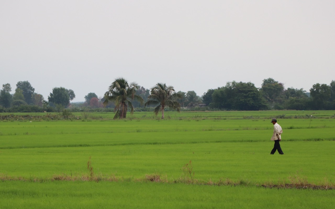 31.8-Phát triển nông nghiệp.jpg