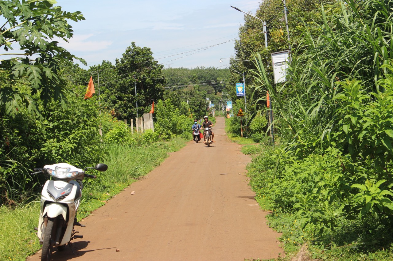 31.8 H1 Xuân.jpg