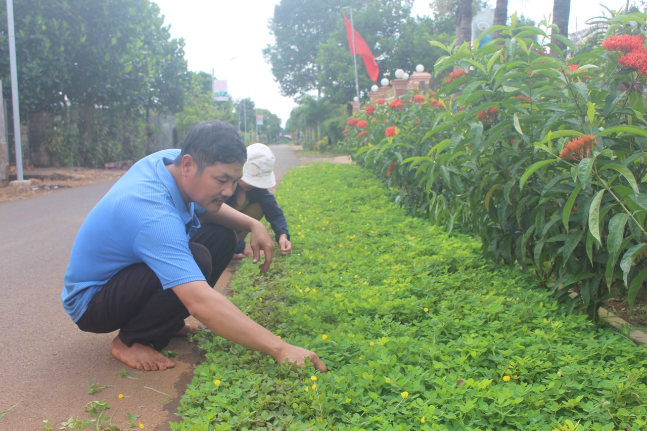 hinh anh 1 - 25-9-2020.jpg?t=1753850341