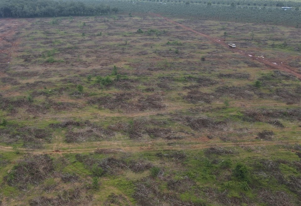 z2110973465557_66ead80ea7df75c4e62fd2643b47cc87 ok.jpg