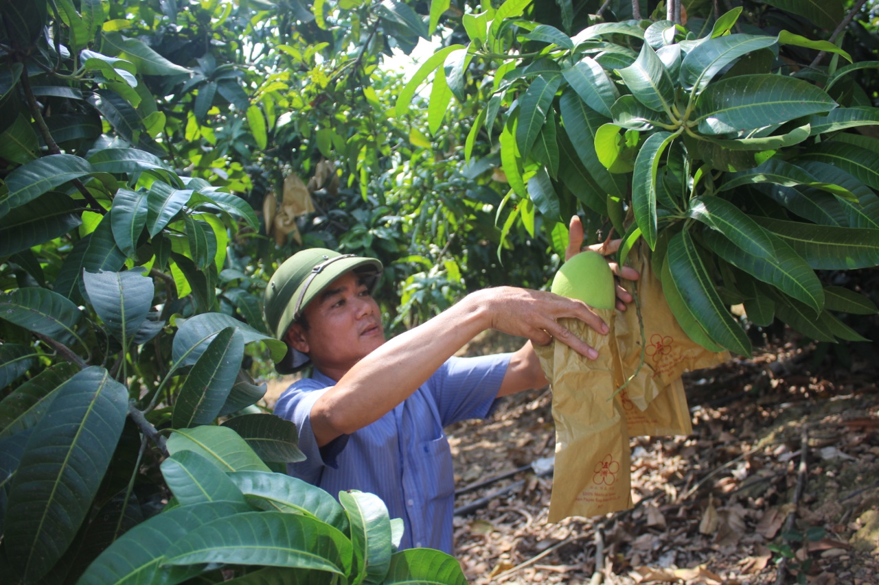 12.10-H2 NTM Xuân Lộc.jpg