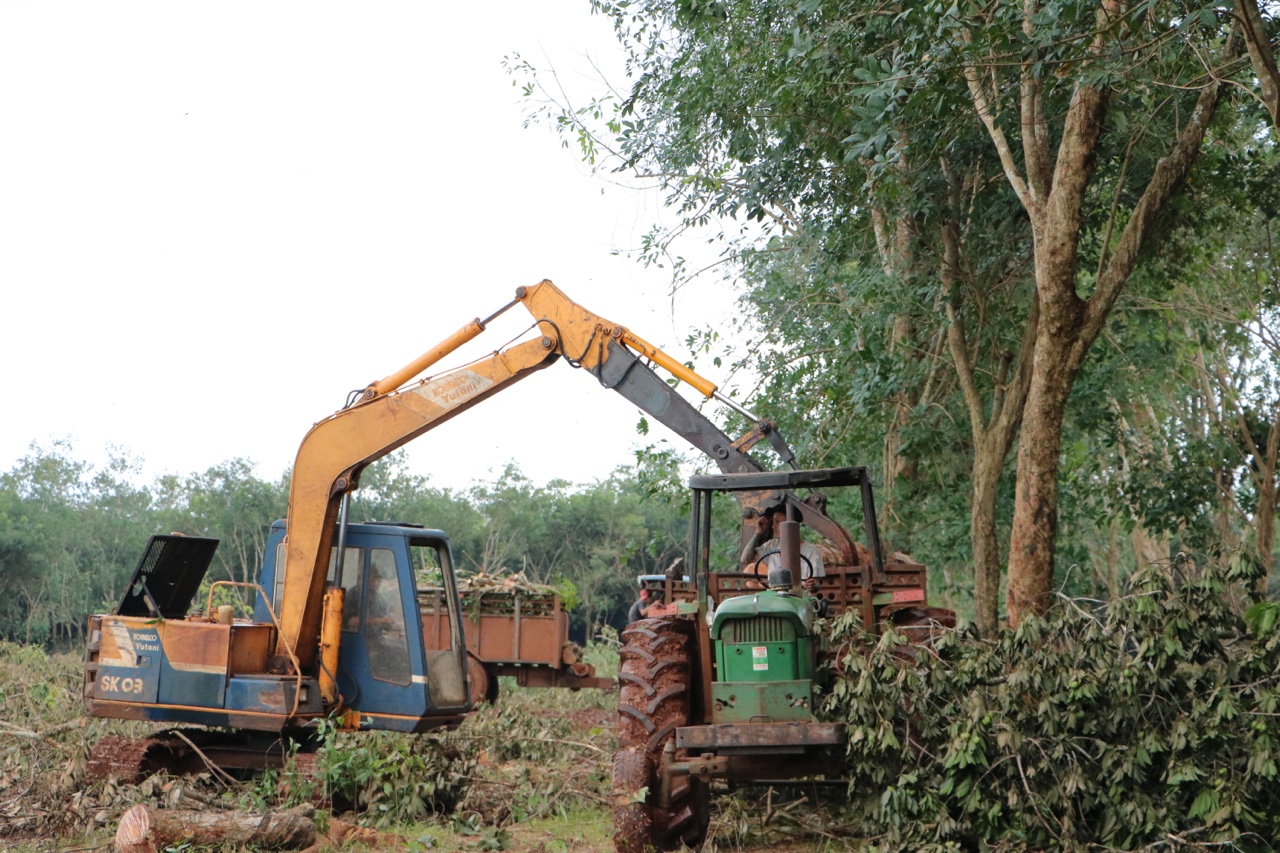 z2124024361110_8a4d51ef92d7889947fc4c22bce00fdd (1).jpg