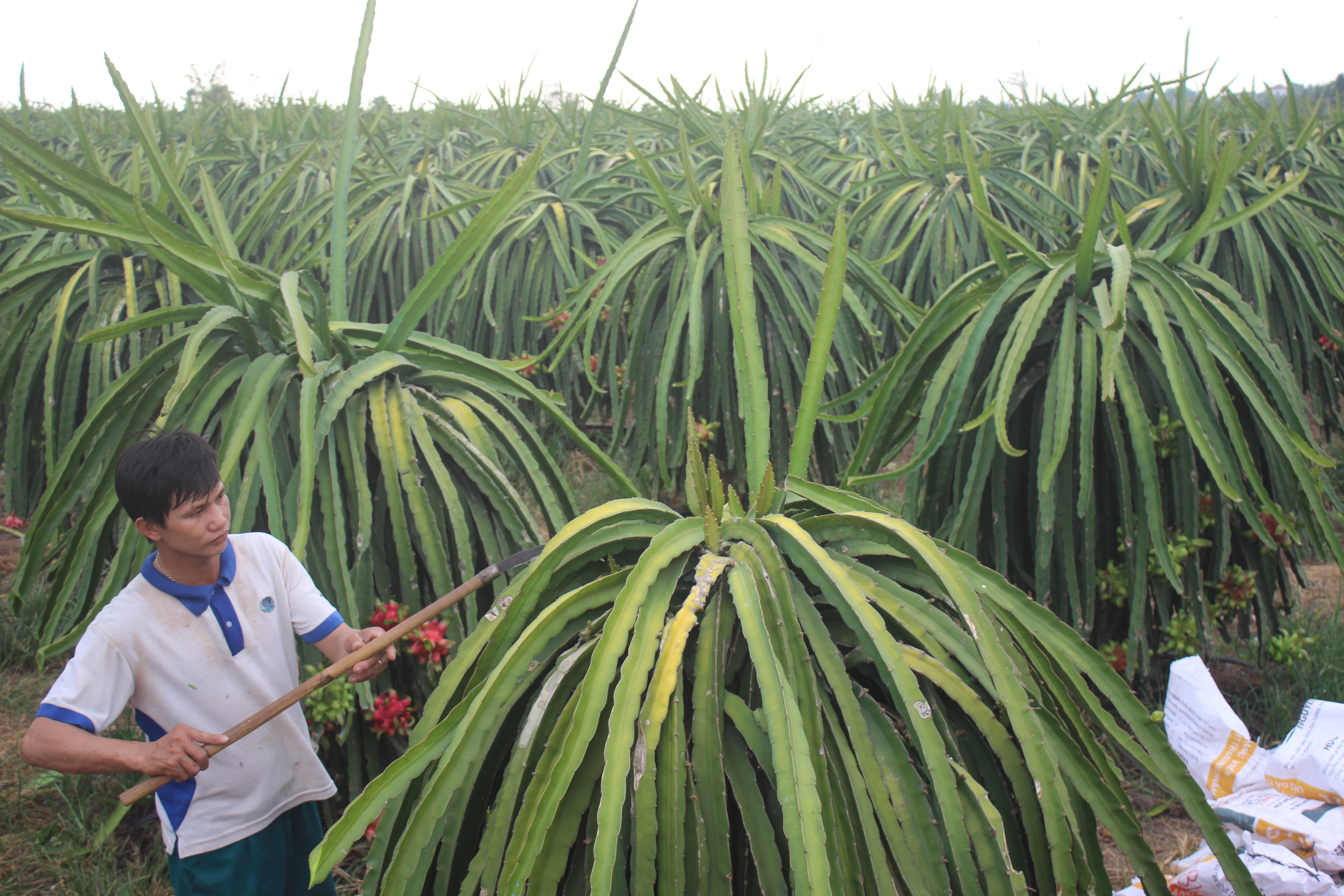 21.10- H1 Ngọn cờ đầu XD NTM.JPG