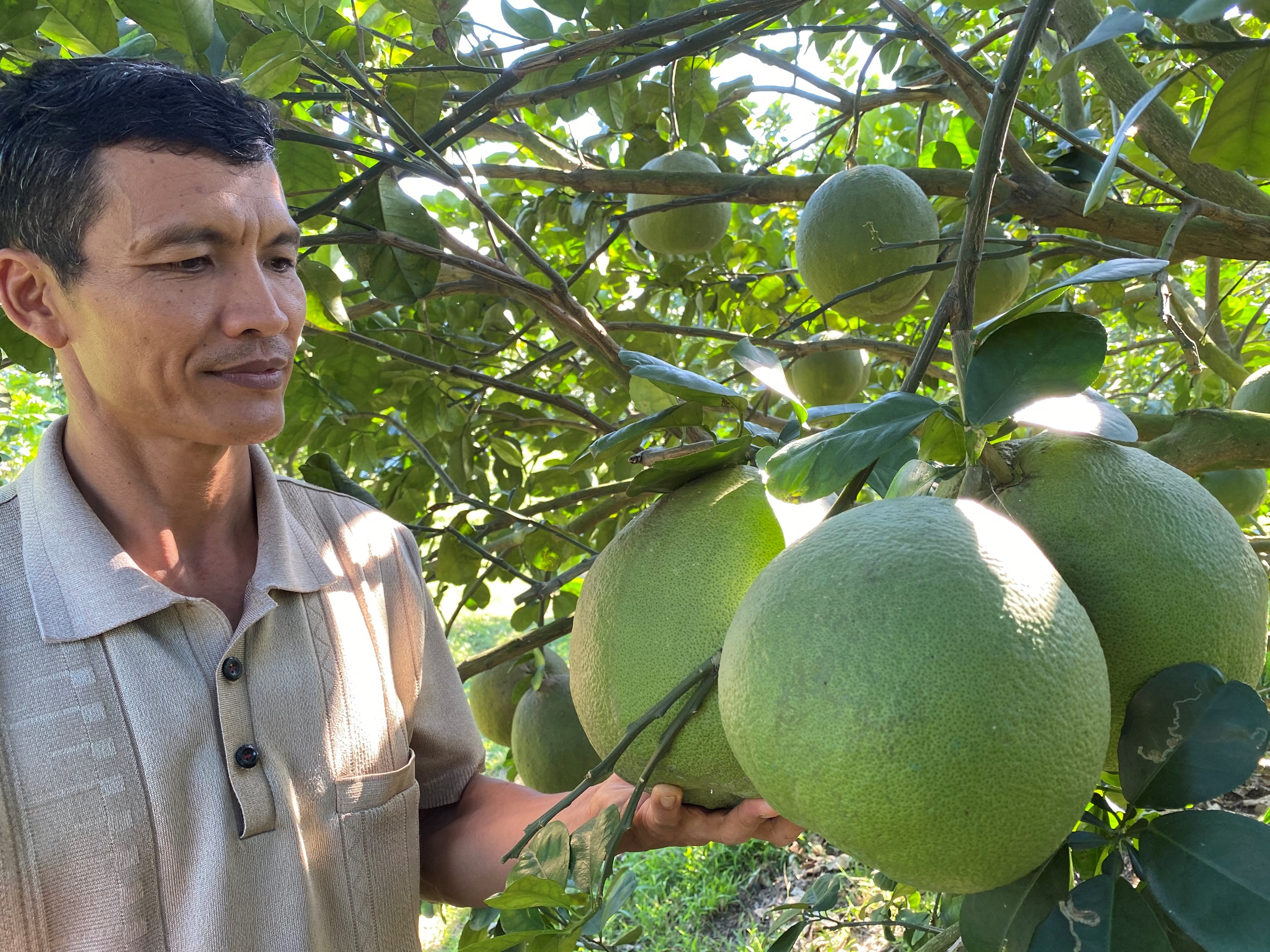 21.10-H1 Làm sạch môi trường nông thôn.jpg