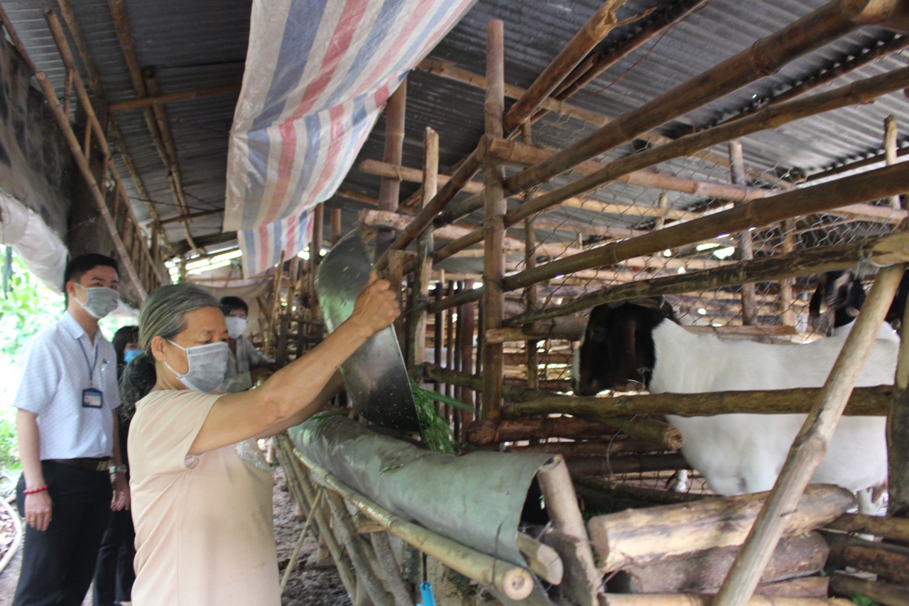 4.11-H1 Giảm nghèo.jpg