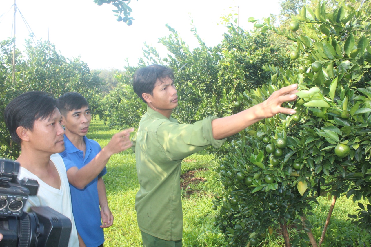 17.11-h2 Khởi nghiệp để ổn định cuộc sống.jpg