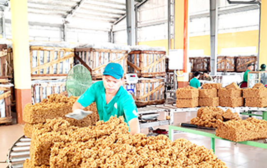 19.11-Vươn tầm thương hiệu quốc gia.jpg