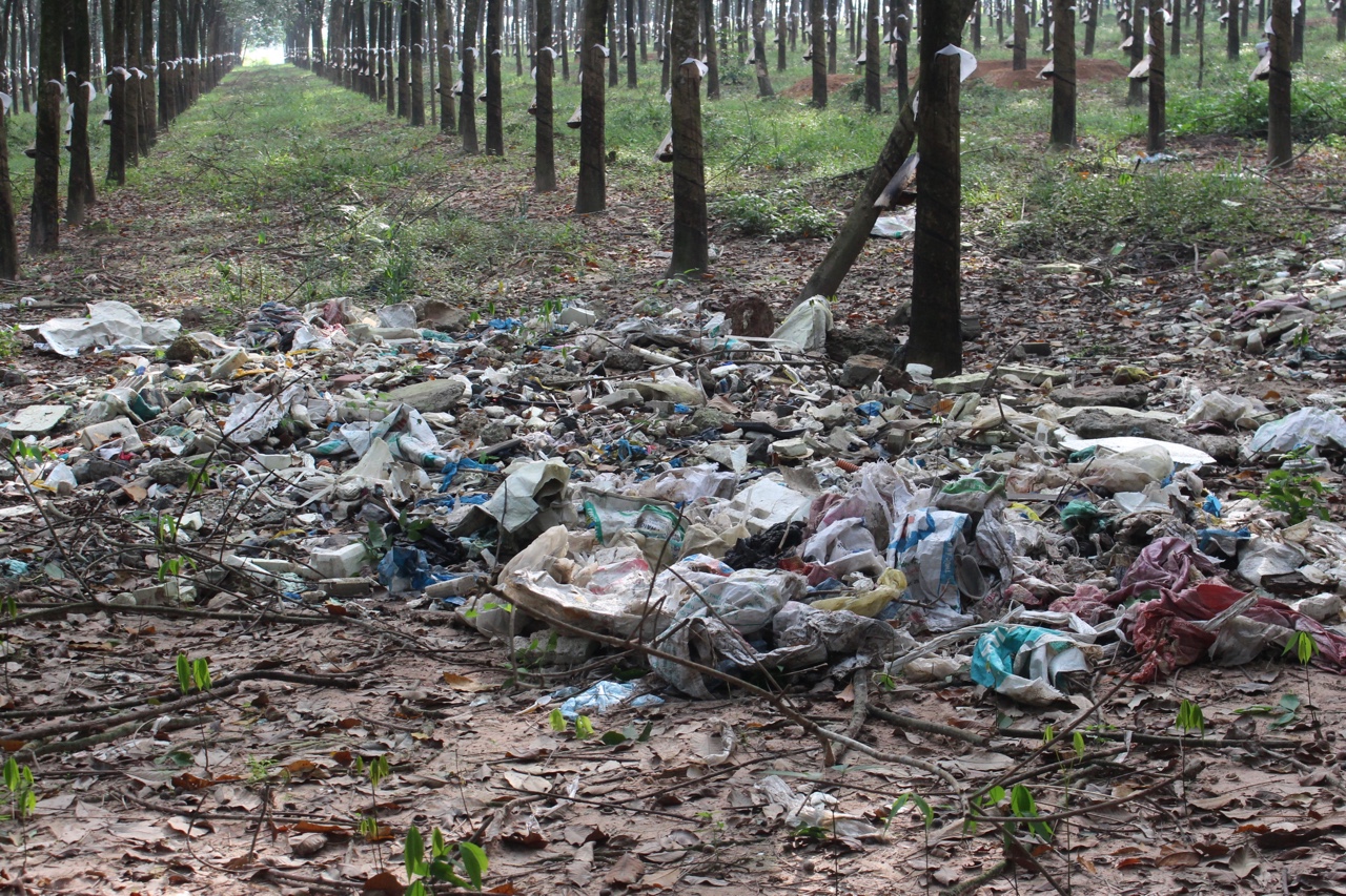 1.12-H1 Còn nhiều vi phạm về đổ trộm chất thải.jpg