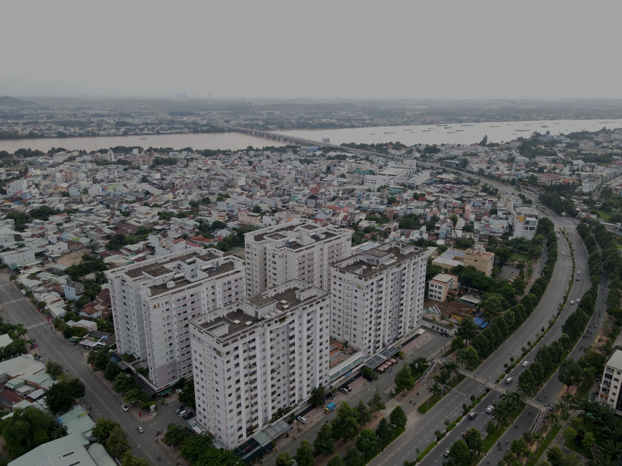 cd5-2.jpg?t=1753850341
