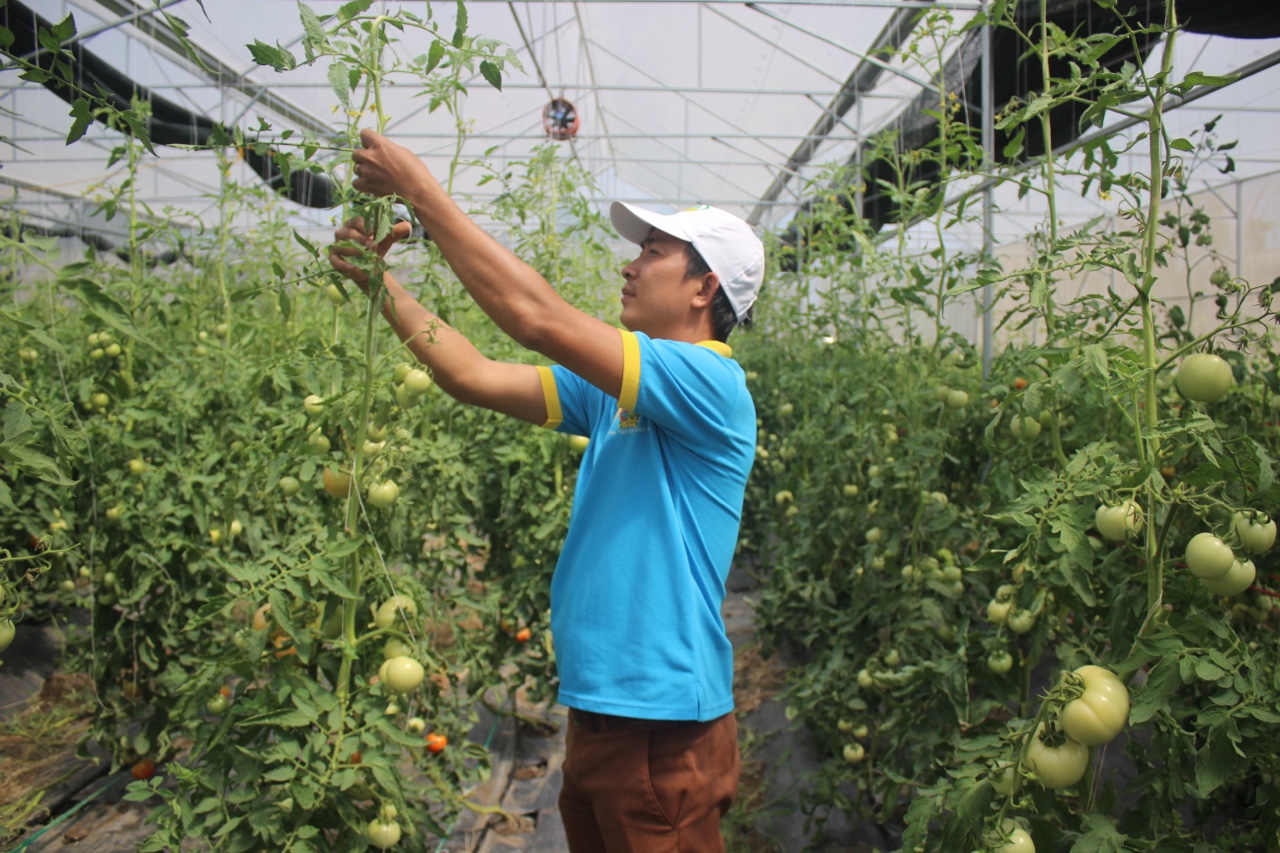 25.1-H2 CSNN Nhiều chính sách ưu đãi cho nông nghiệp, nông thôn.jpg