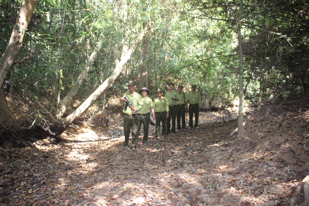 11.3-H1 Đoàn phú 1-Giữ rừng mùa khô.jpg