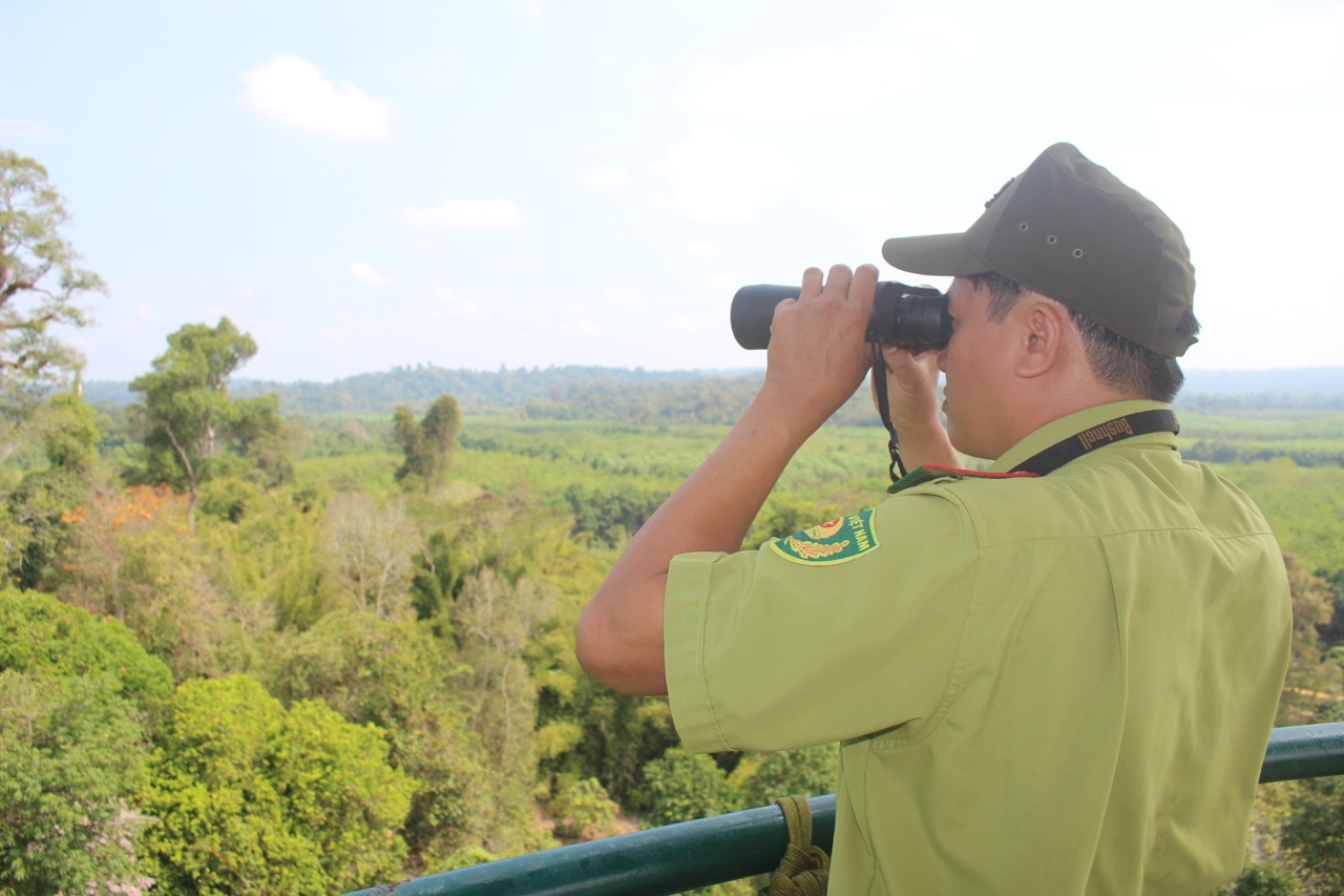 11.3-H2 Đoàn phú 1-Giữ rừng mùa khô.jpg