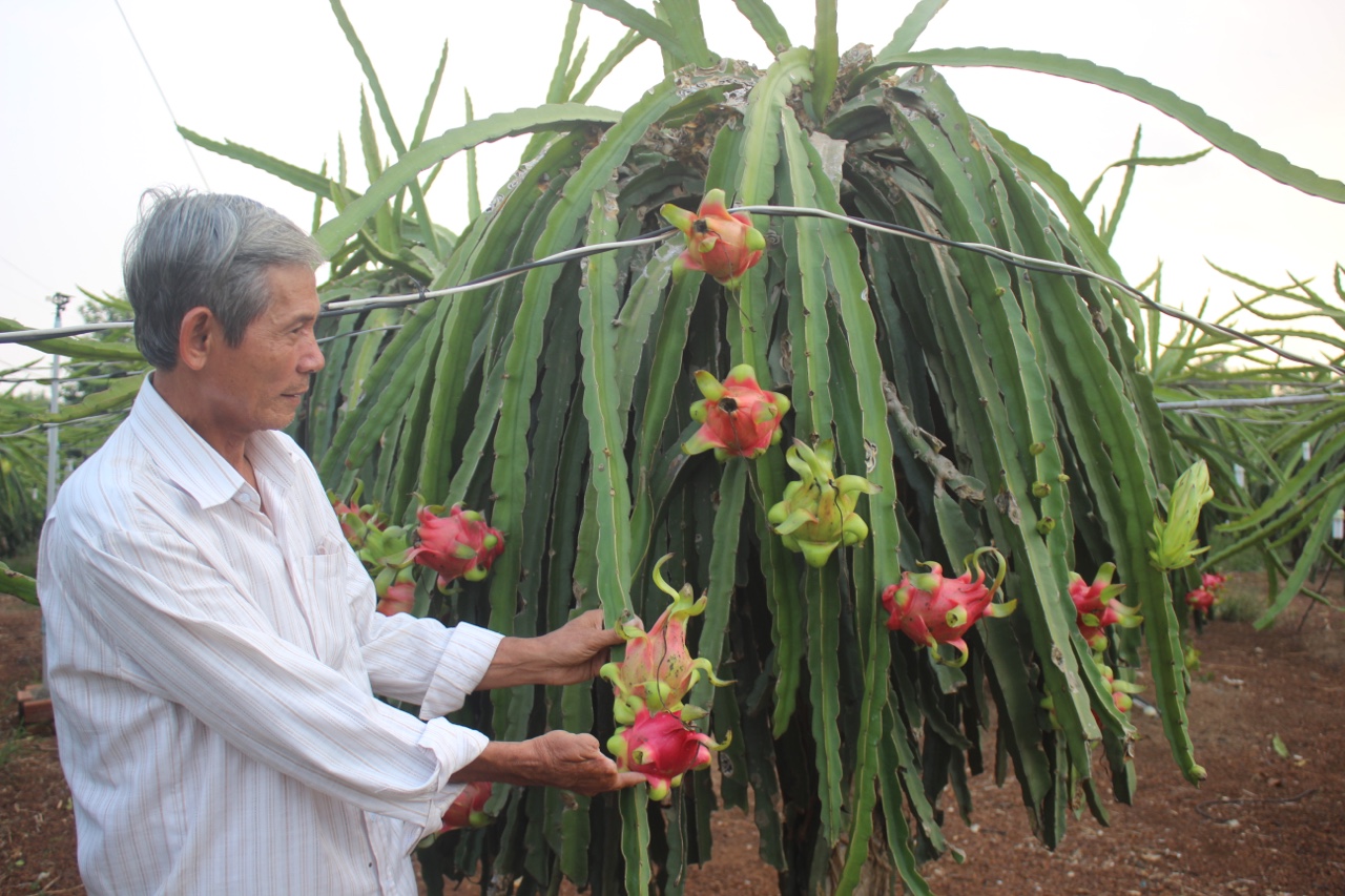 15.3-H1 Bài tiêu thụ.jpg