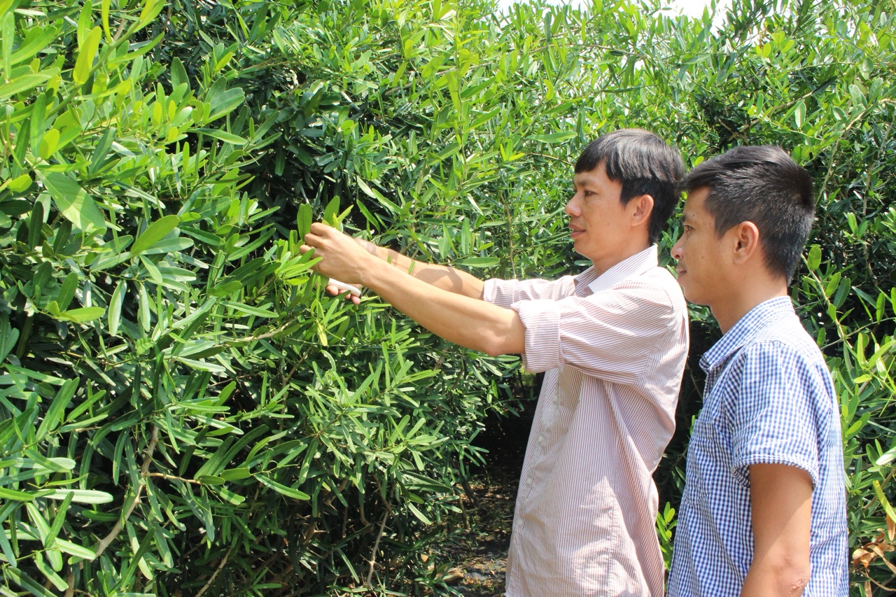 30.3-H2 Phát triển.jpg