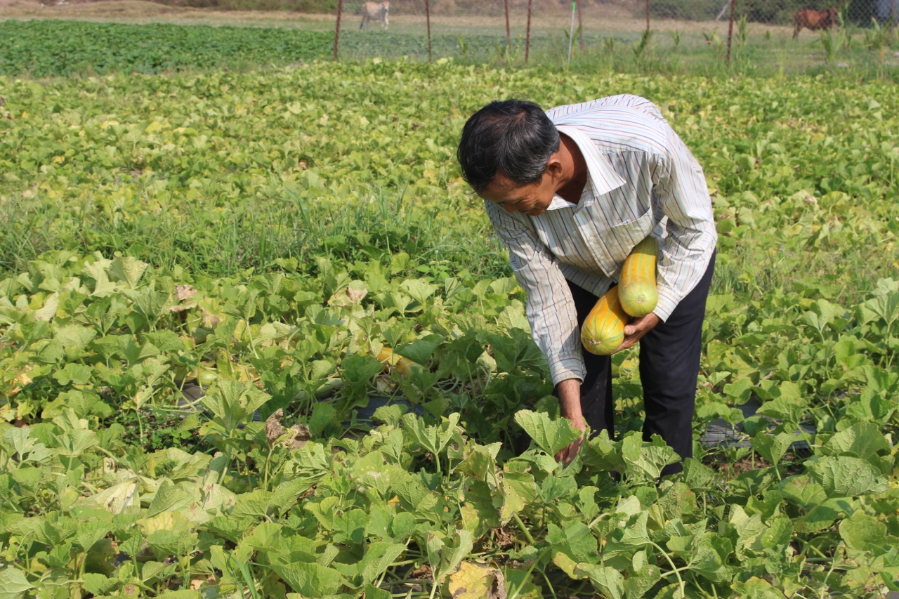 22.4-Chưa xảy ra khô hạn trong sản xuất nông nghiệp.jpg