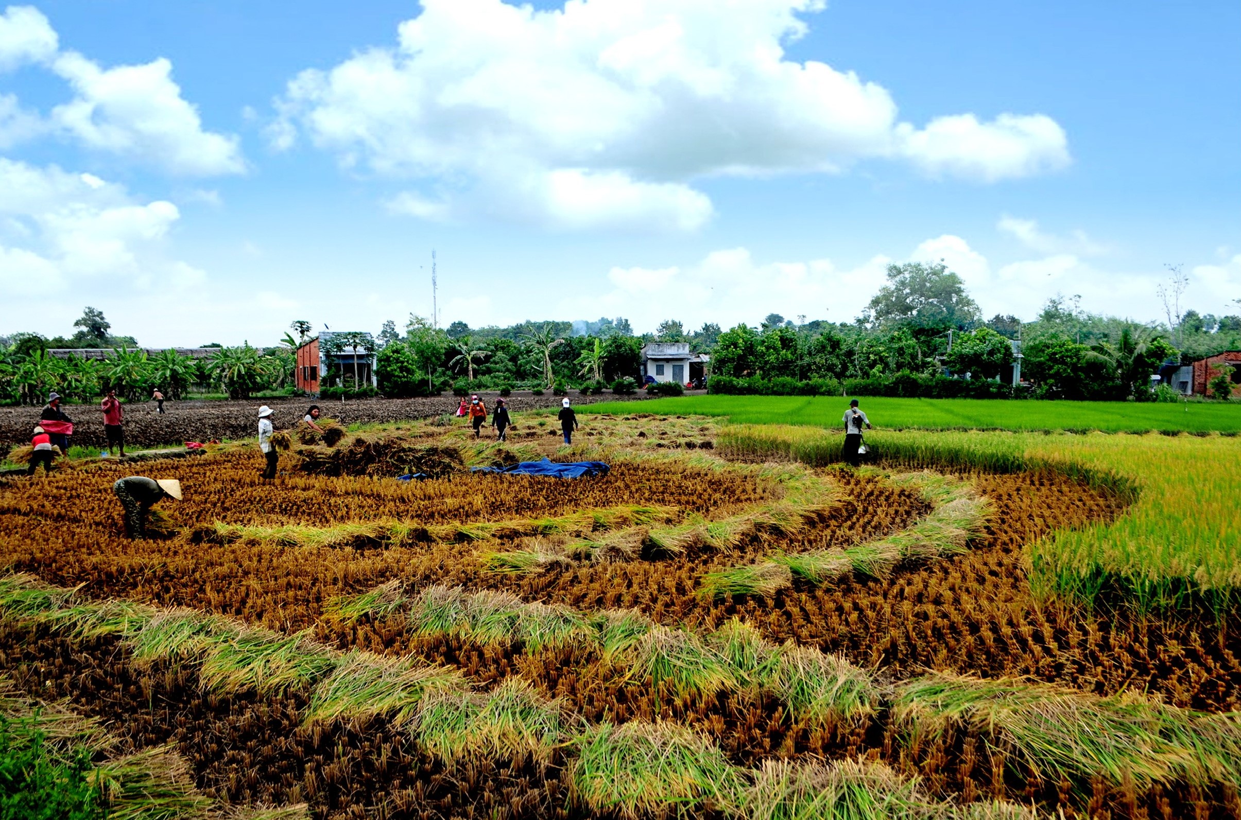 22.4-H Tin Long Khanh tang dien tich.jpg