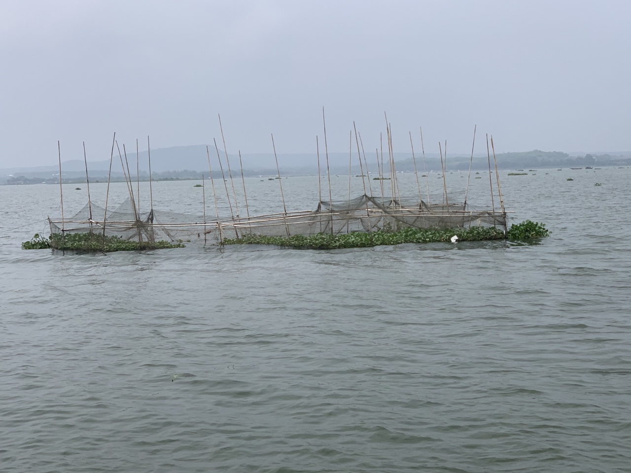 27.4-H2 Cấm các nghề khai thác thủy sản tận diệt.jpg