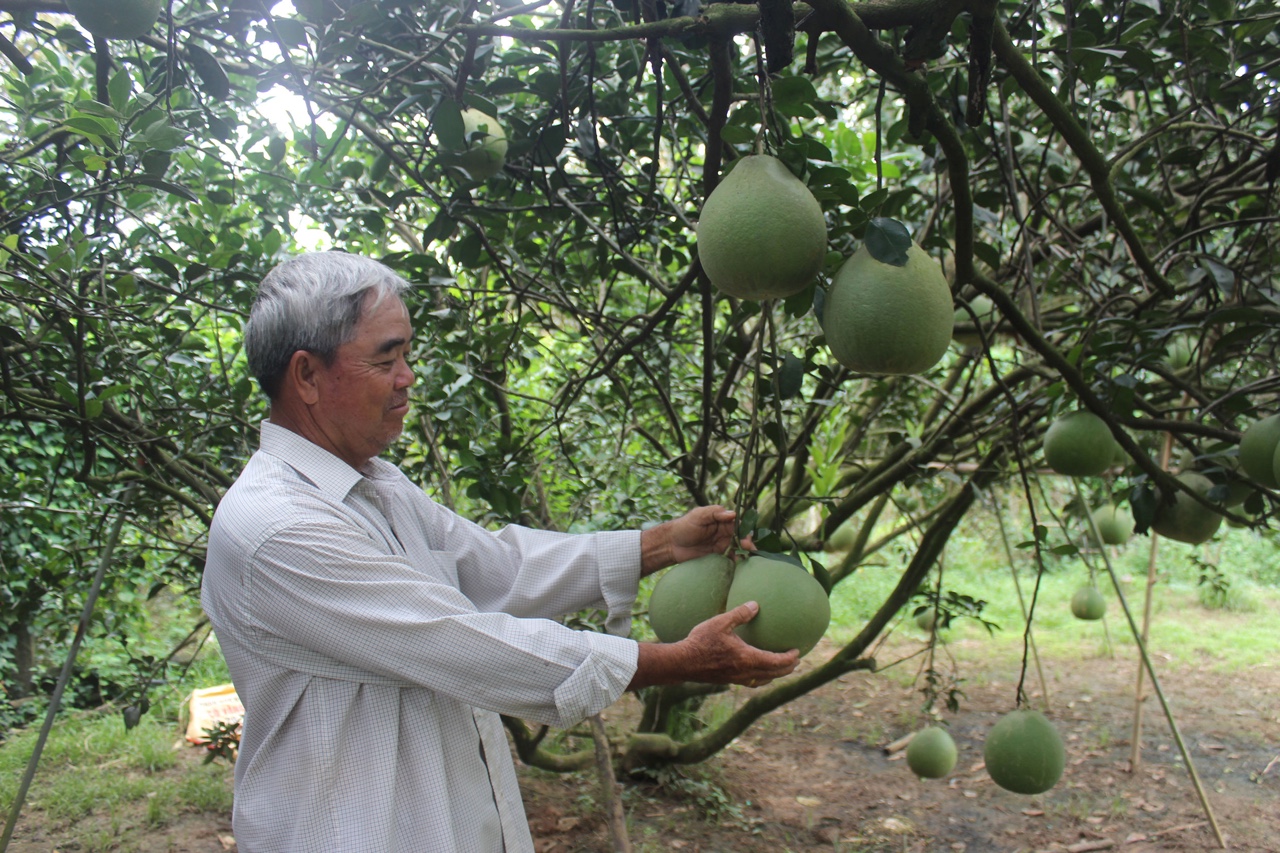13.5-H2 Tìm cách đột phá trong phát triển kinh tế giai đoạn tớI.jpg