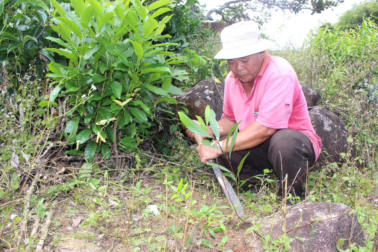 14.5-Tr-H2 Trồng cây xanh gắn với nông thôn mới.jpg