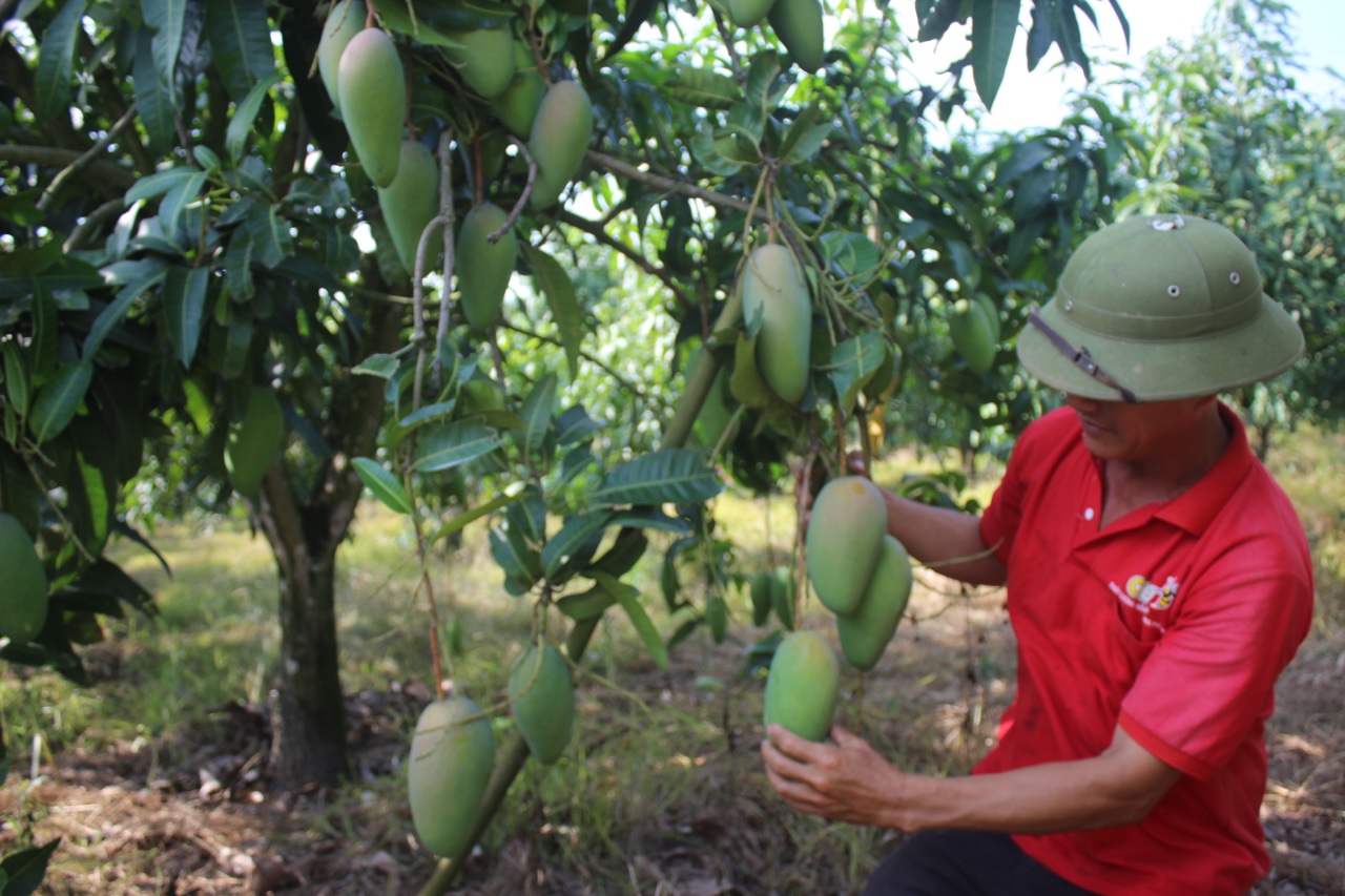 17.5-Người dân là mục tiêu lớn nhất-1.jpg