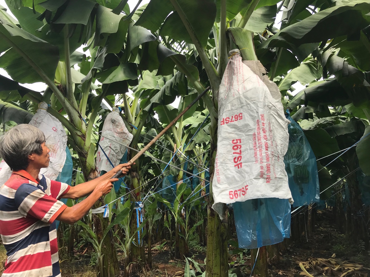 17.5-Người dân là mục tiêu lớn nhất-2.jpg