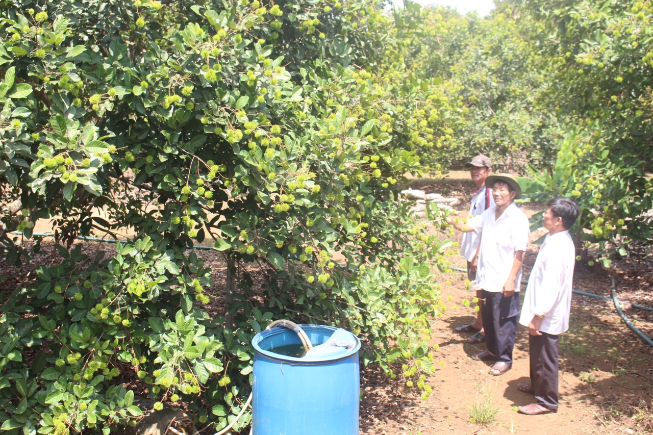 17.5-H2 Đổi thay trên vùng đất Sông Nhạn.jpg