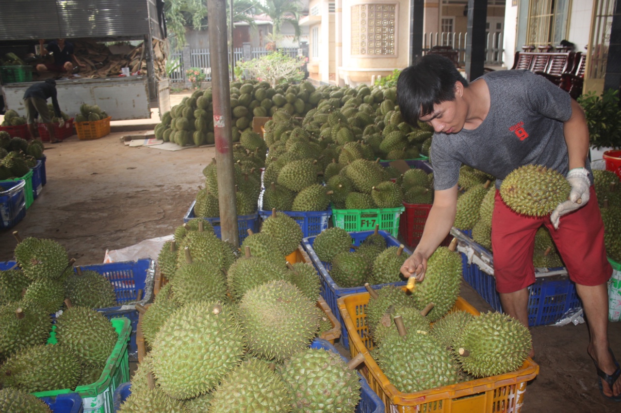 17.5-H2 Chủ động kế hoạch tiêu thụ nông sản trong điều kiện dịch Covid 19.jpg