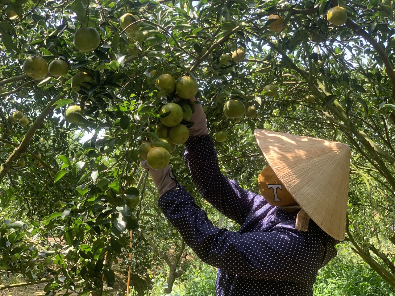 19.5-H2 Xây dựng nông thôn mới trên vùng đất anh hùng.jpg