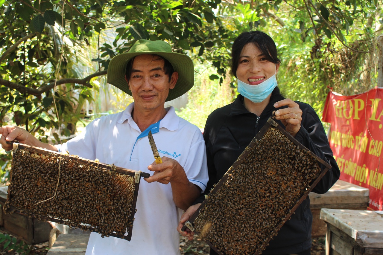 20.5-H2 Thị trường mật ong nội ngày càng đa dạng.jpg