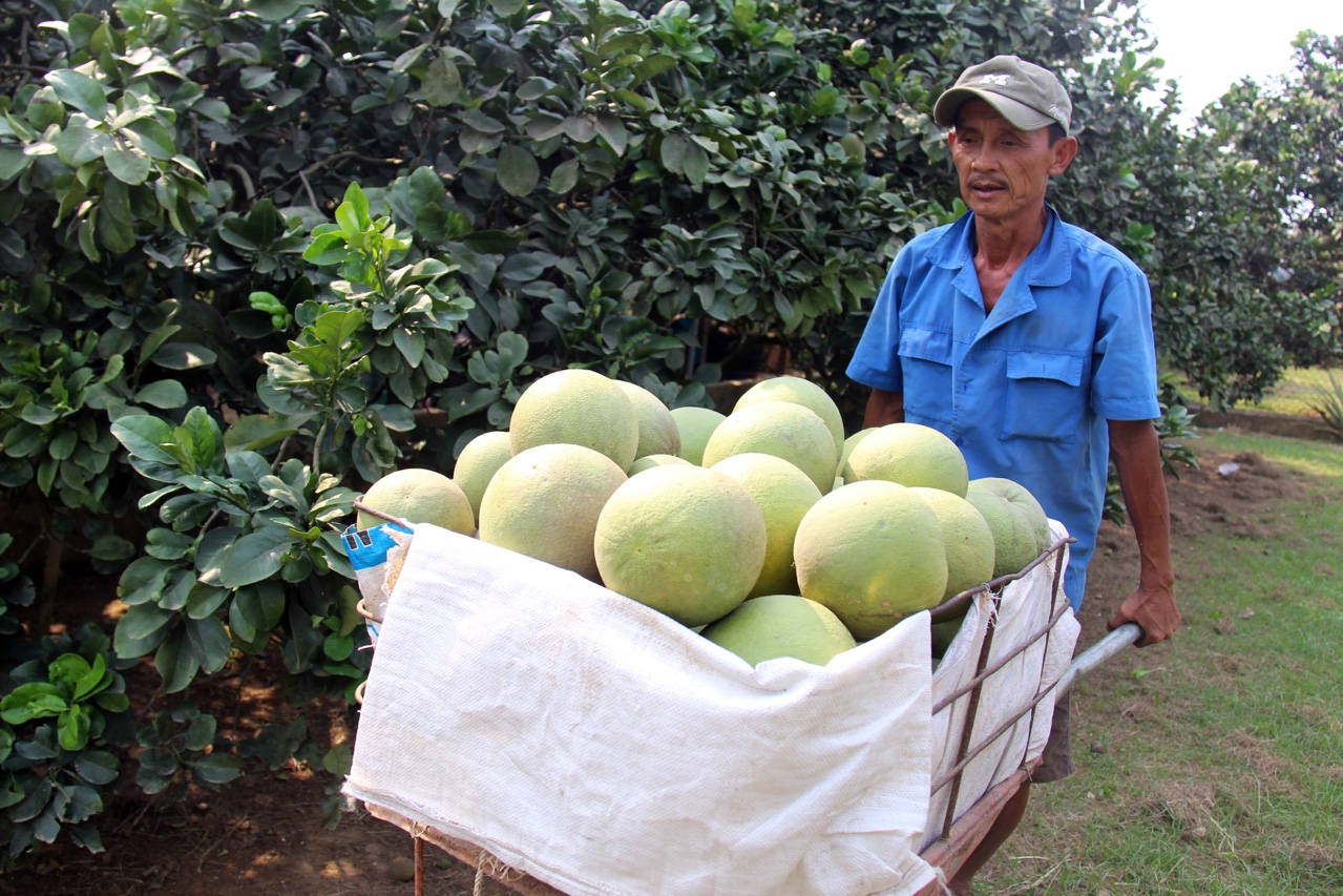 p.dieuchinh.jpg?t=1753850341