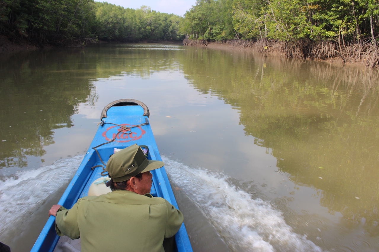 14.6-Phục hồi hơn 1,7 ngàn ha rừng tự nhiên.jpg