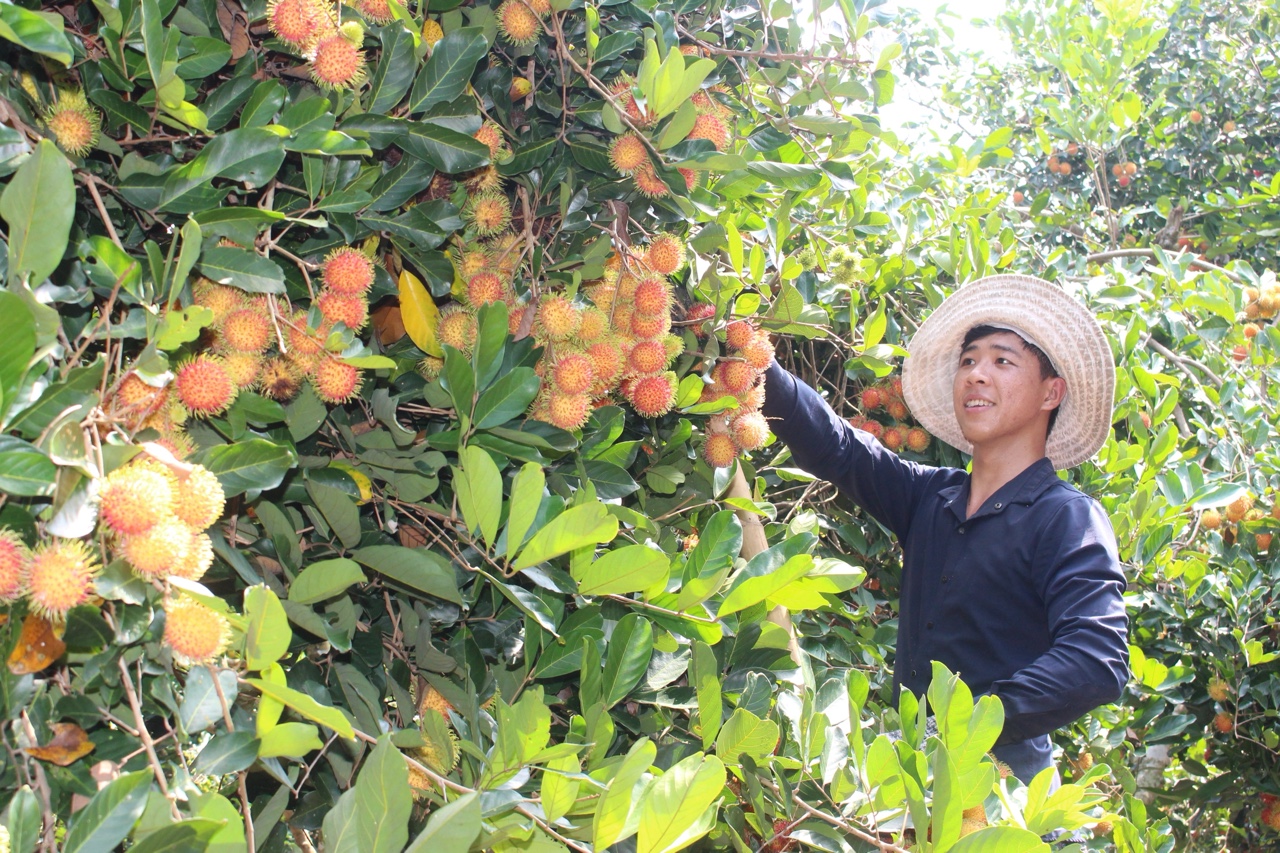 11.6-H1 .Xuân Lộc Sẵn sàng cho dự án nông nghiệp công nghệ cao.jpg