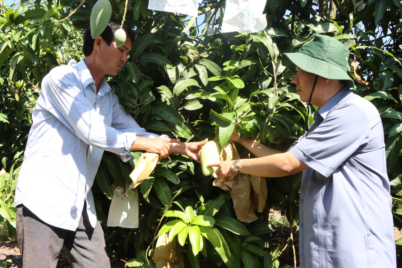 11.6-H2 .Xuân Lộc Sẵn sàng cho dự án nông nghiệp công nghệ cao.jpg