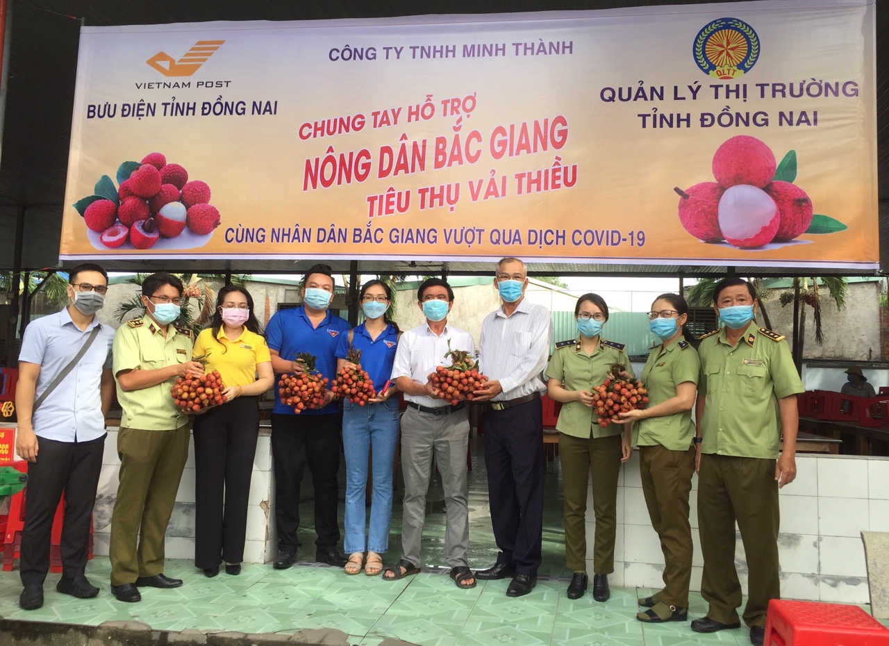 16.6-Triển khai chương trình hỗ trợ tiêu thụ vải thiều Bắc Giang.jpg