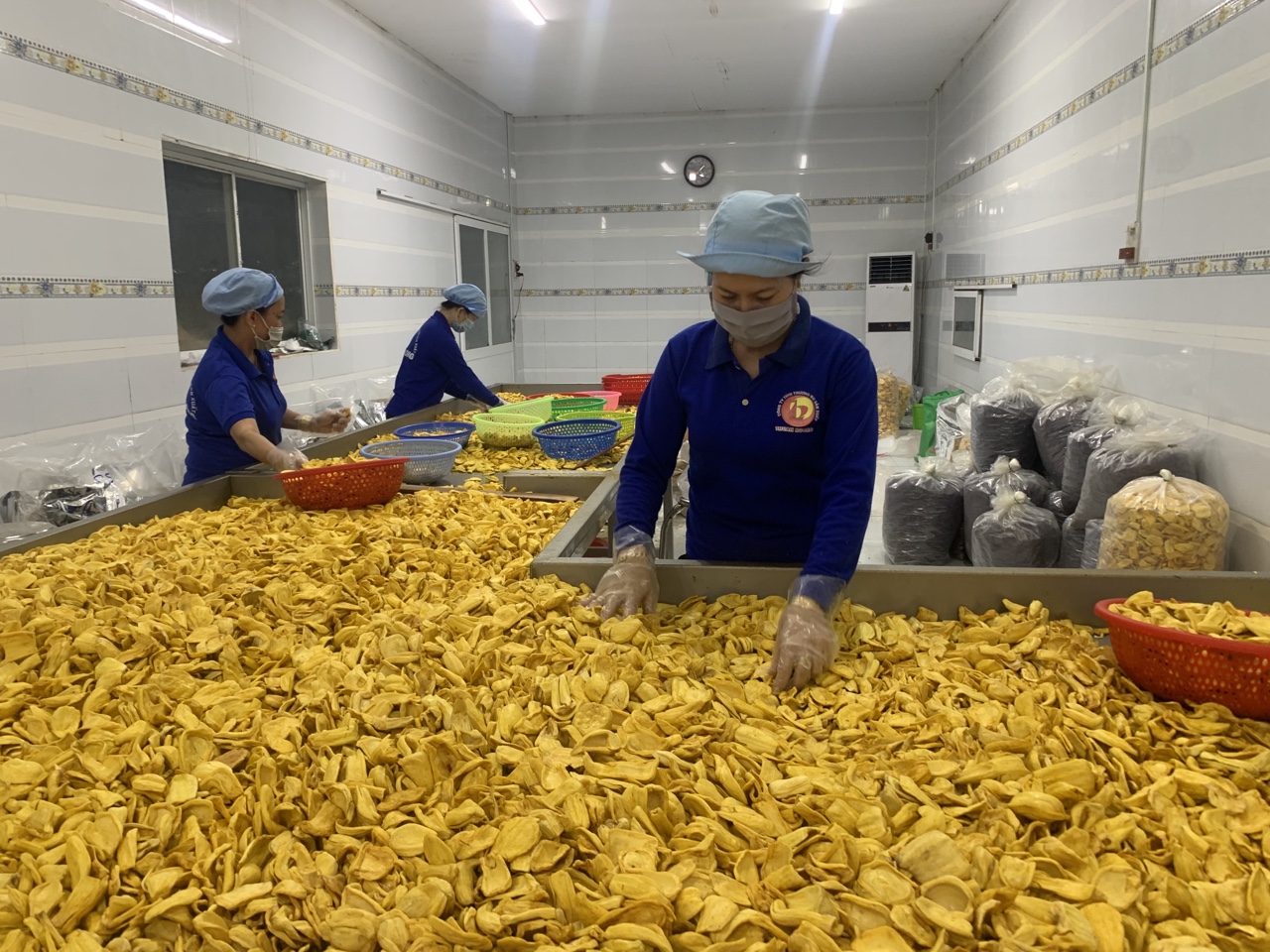 18.6-Đầu tư chế biến trái cây tươi 2.jpg