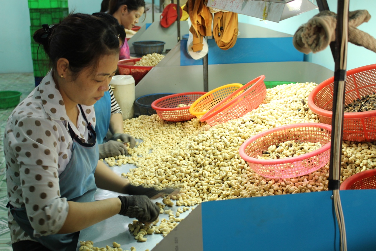 18.6-Rộng cửa chờ nhà đầu tư vào chế biến 1.jpg