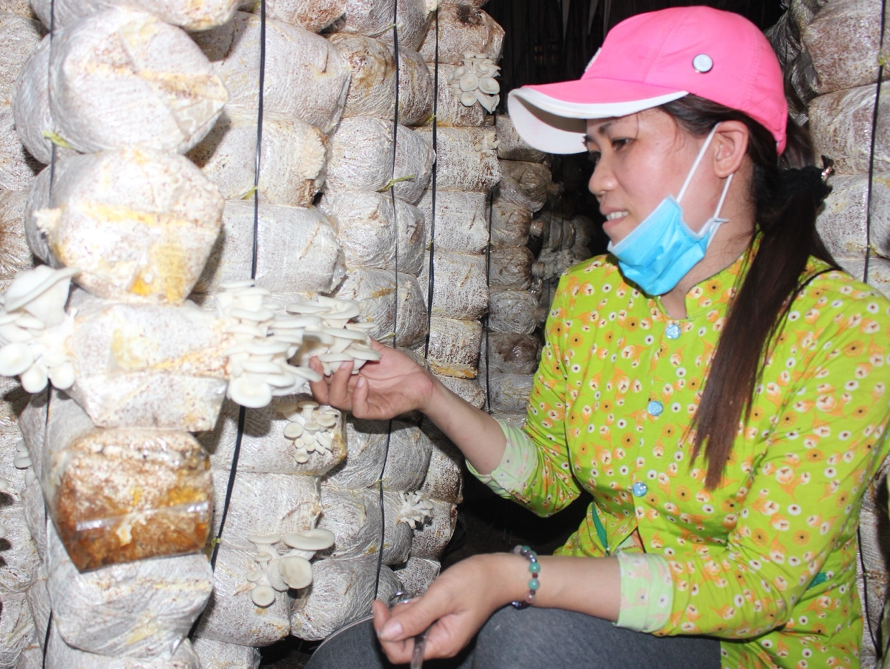 5.7-H2 Nông sản sạch vẫn gian nan tìm chỗ đứng.jpg