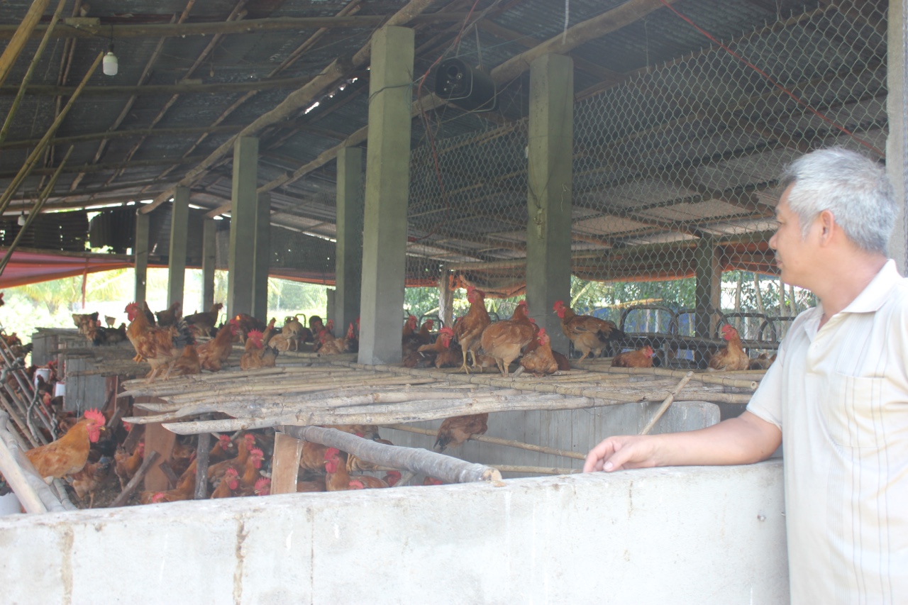 1.8-Kịch bản đầu ra cho nông sản mùa dịch H2.jpg