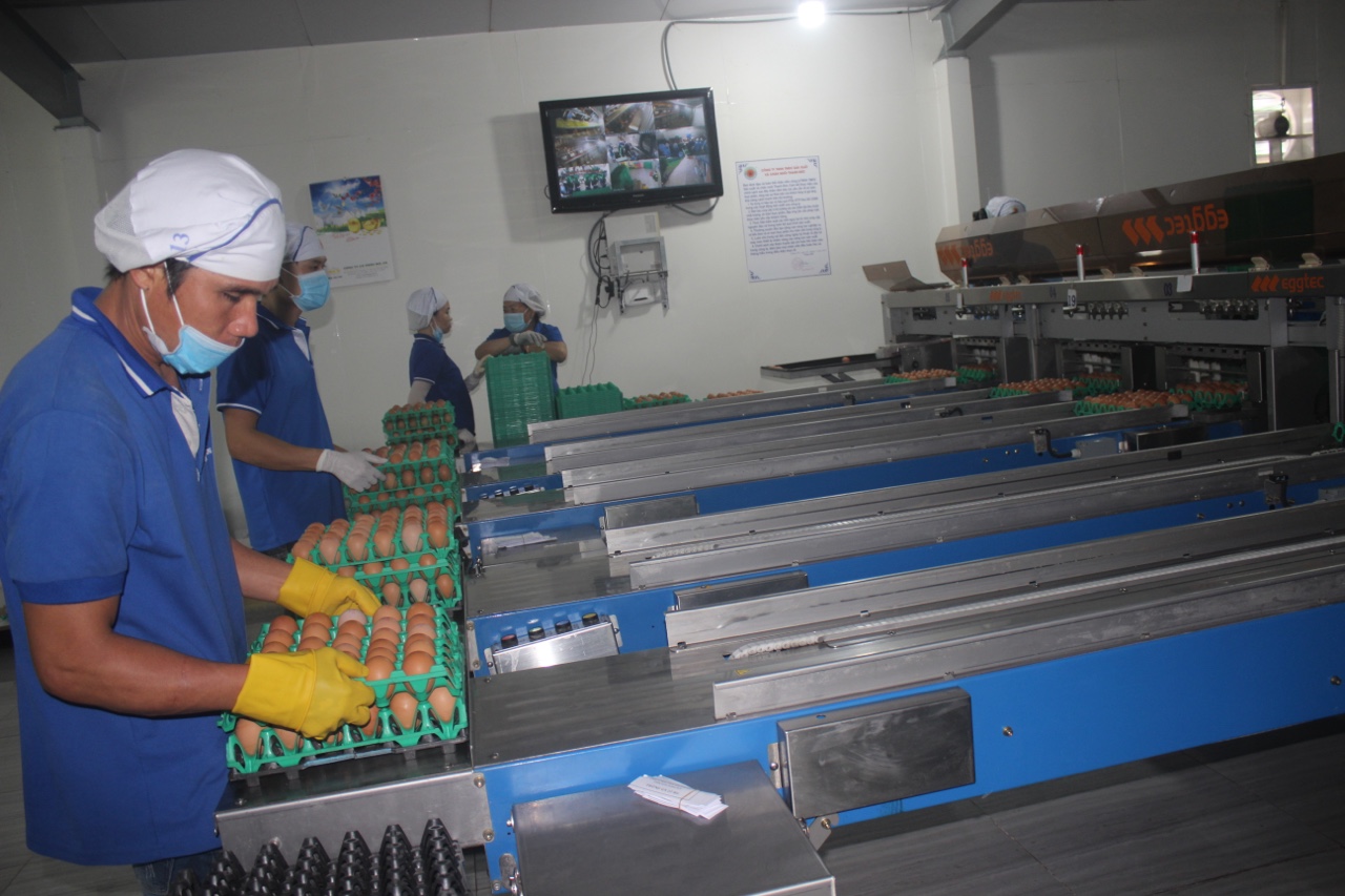 1.8-Đẩy mạnh chuyển đổi số trong nông nghiệp 1.jpg