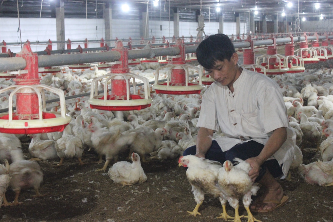 3.8- Nhiều chương trình hỗ trợ tiêu thụ nông sản mùa dịch 1.jpg