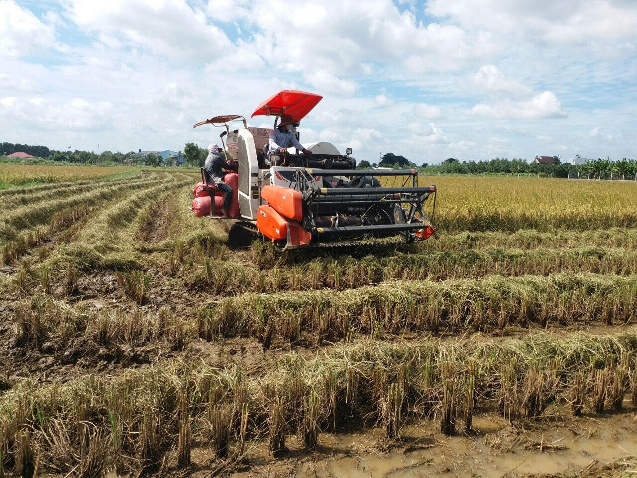 4.8 Các địa phương cần khẩn trương lập hồ sơ kế hoạch sử dụng đất năm 2022.jpg
