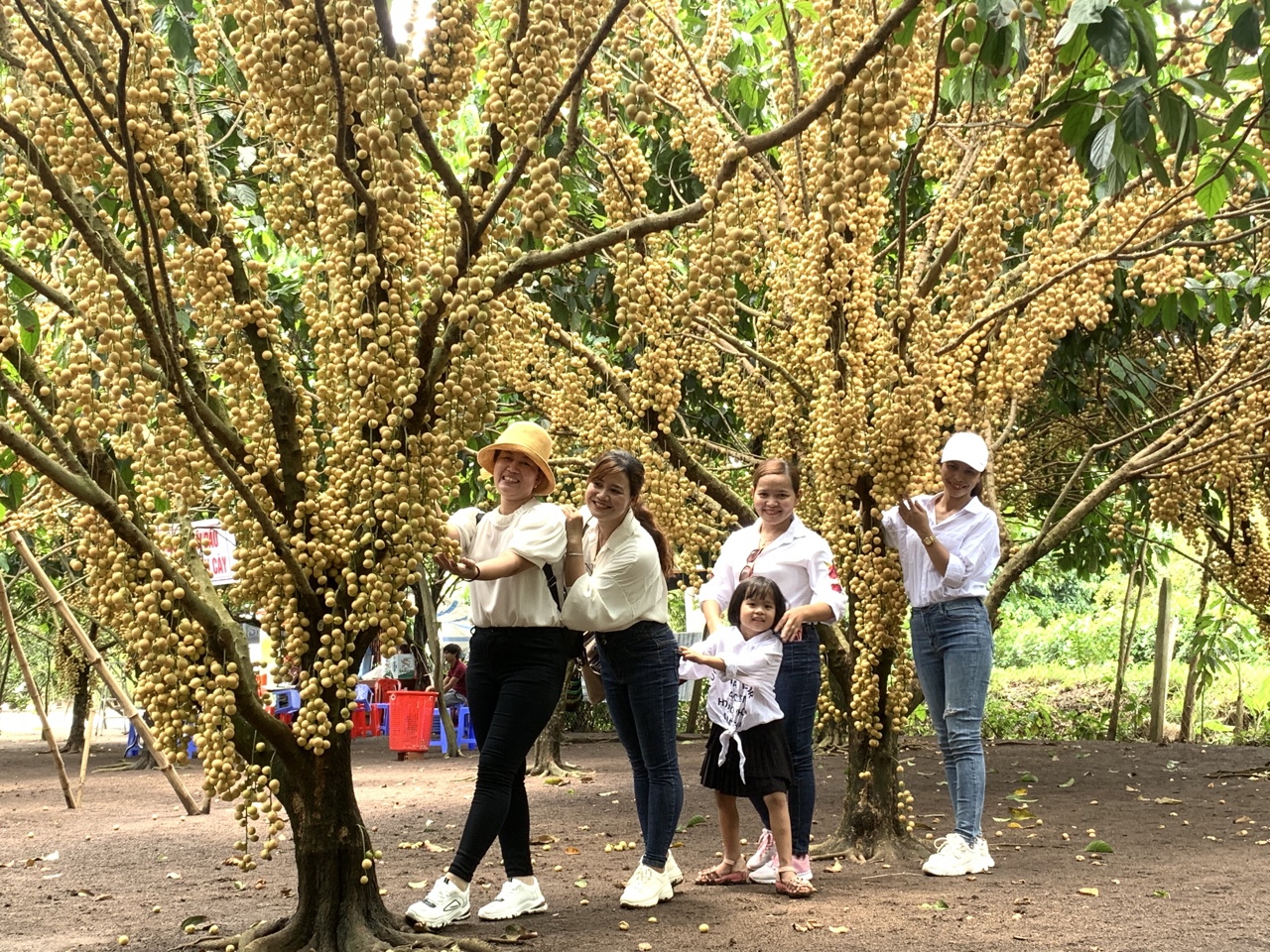 13.8- Xuân Lộc phấn đấu hoàn thành huyện NTM kiểu mẫu H2.jpg