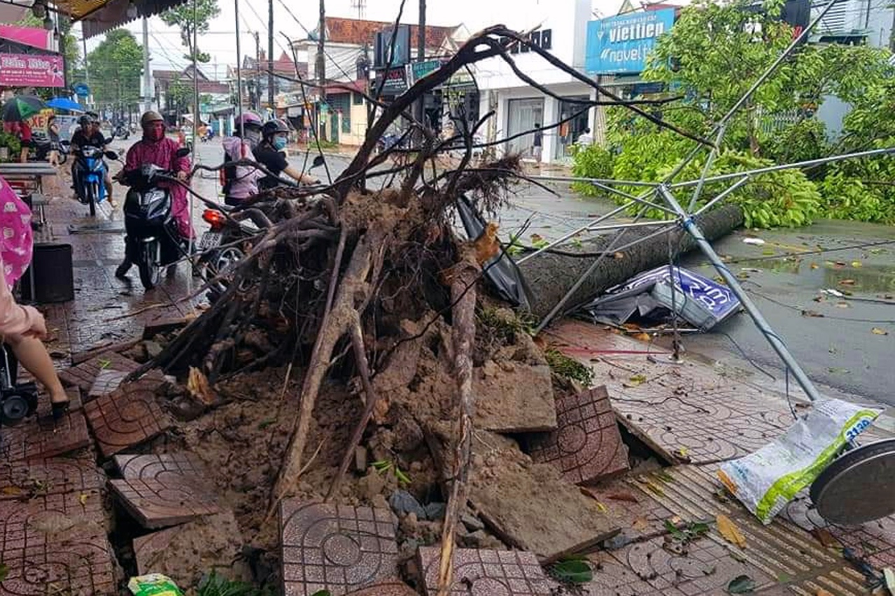 16.9-Phòng, chống thiên tai vào cao điểm mưa lũ trong bối cảnh dịch Covid-19 2.jpg