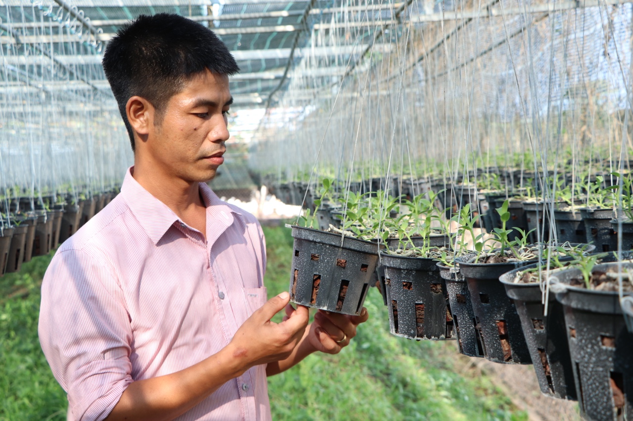 27.10-Nhiều giải pháp phục hồi sản xuất nông nghiệp H2.jpg