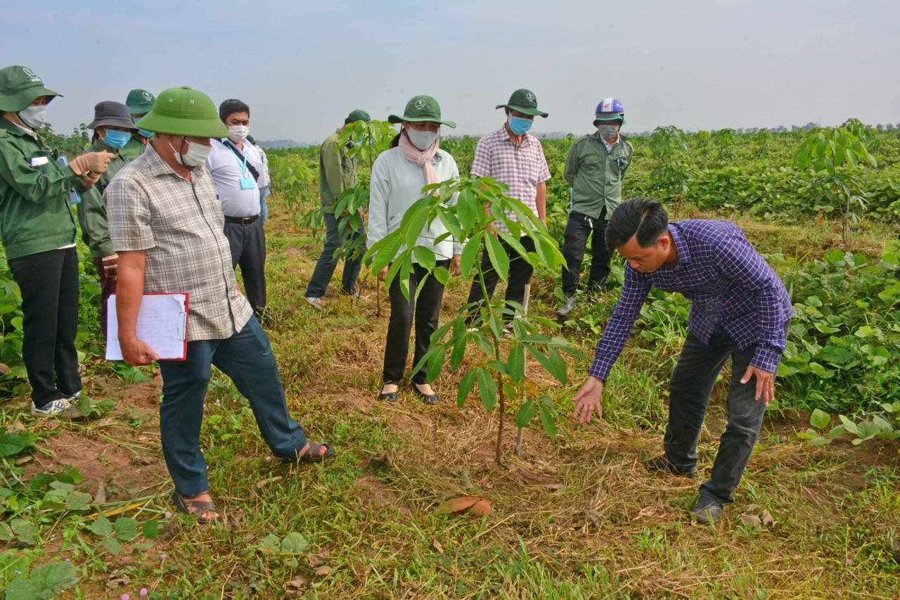 27.10-Triển khai kế hoạch trồng 20 triệu cây xanh H2.jpg