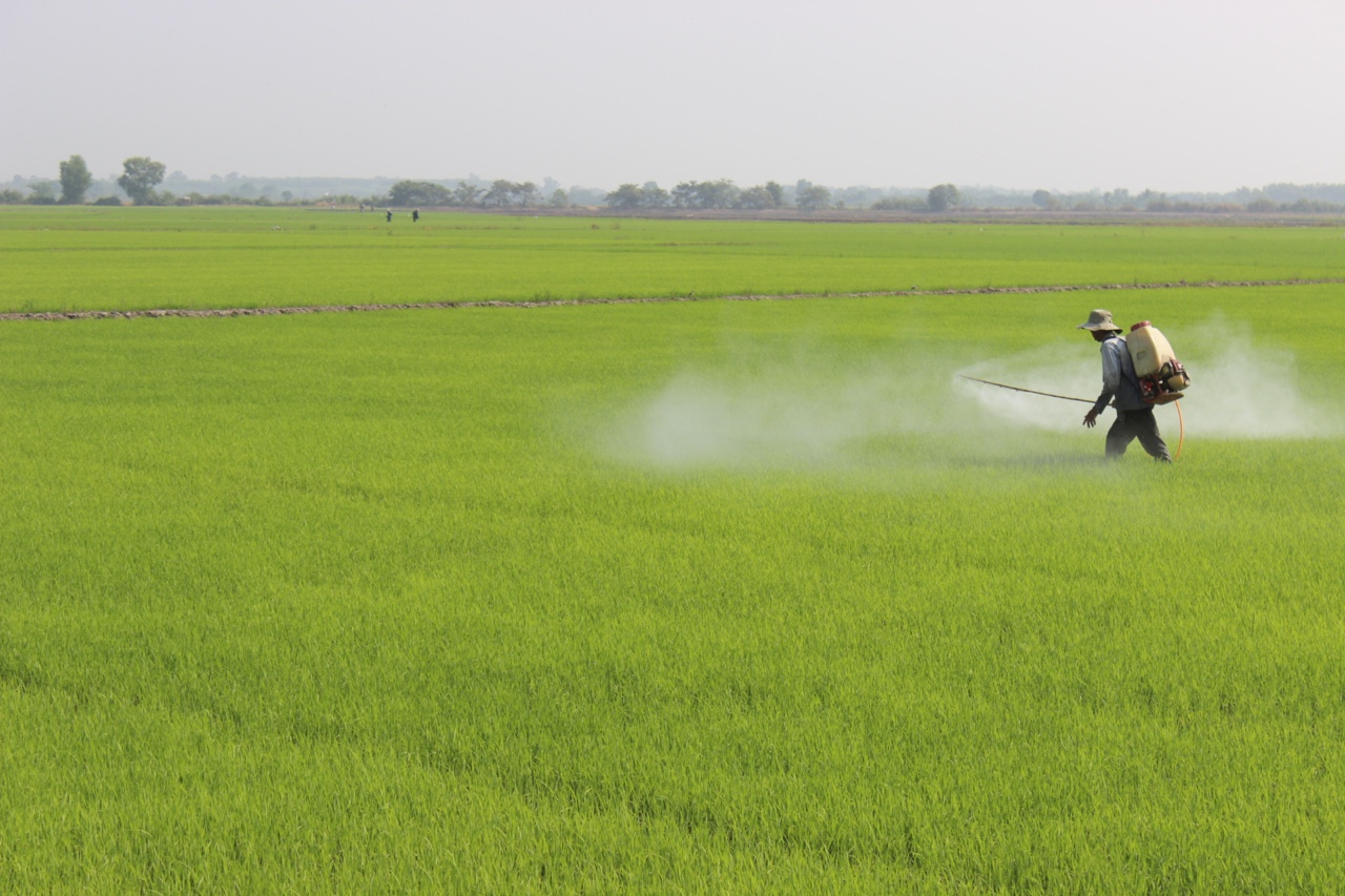 15.11-Vật tư nông nghiệp sốt giá H1.jpg